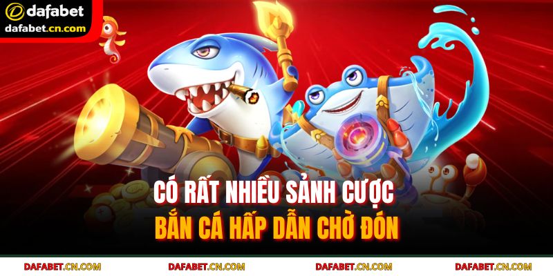 Trang chủ 30 Có rất nhiều sảnh cược bắn cá hấp dẫn chờ đón
