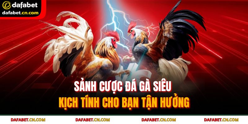 Trang chủ 31 Sảnh cược đá gà siêu kịch tính cho bạn tận hưởng